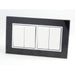 Double Black Mirror Glass Frame with White 4 Gang Rocker Light Switches