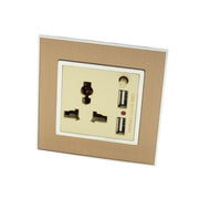 Gold Satin Metal Single Frame with gold insert of 3 pin and 2A USB socket